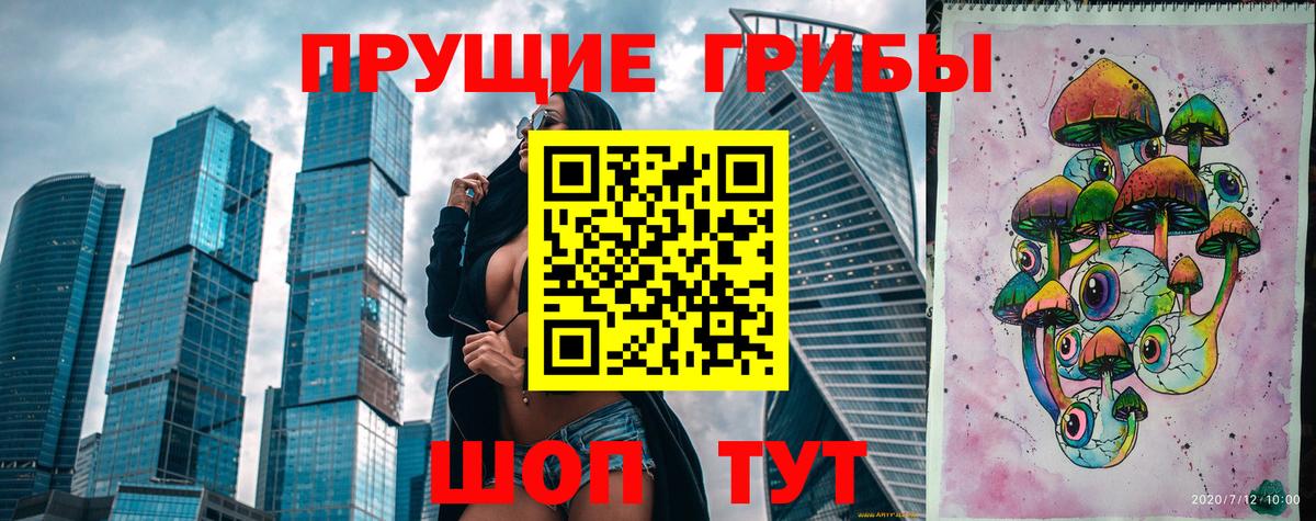 Кириши  Галлюциногенные грибы Magic Shrooms  Вход с VPN  Псилоцибиновые грибы мухоморы 